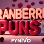 CRANBERRY PUNS